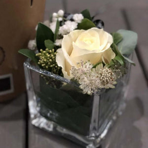White rose and foliage in a glass cube