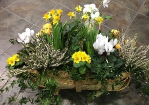 Seasonal Planter of the Day - Sarah Horne Botanicals