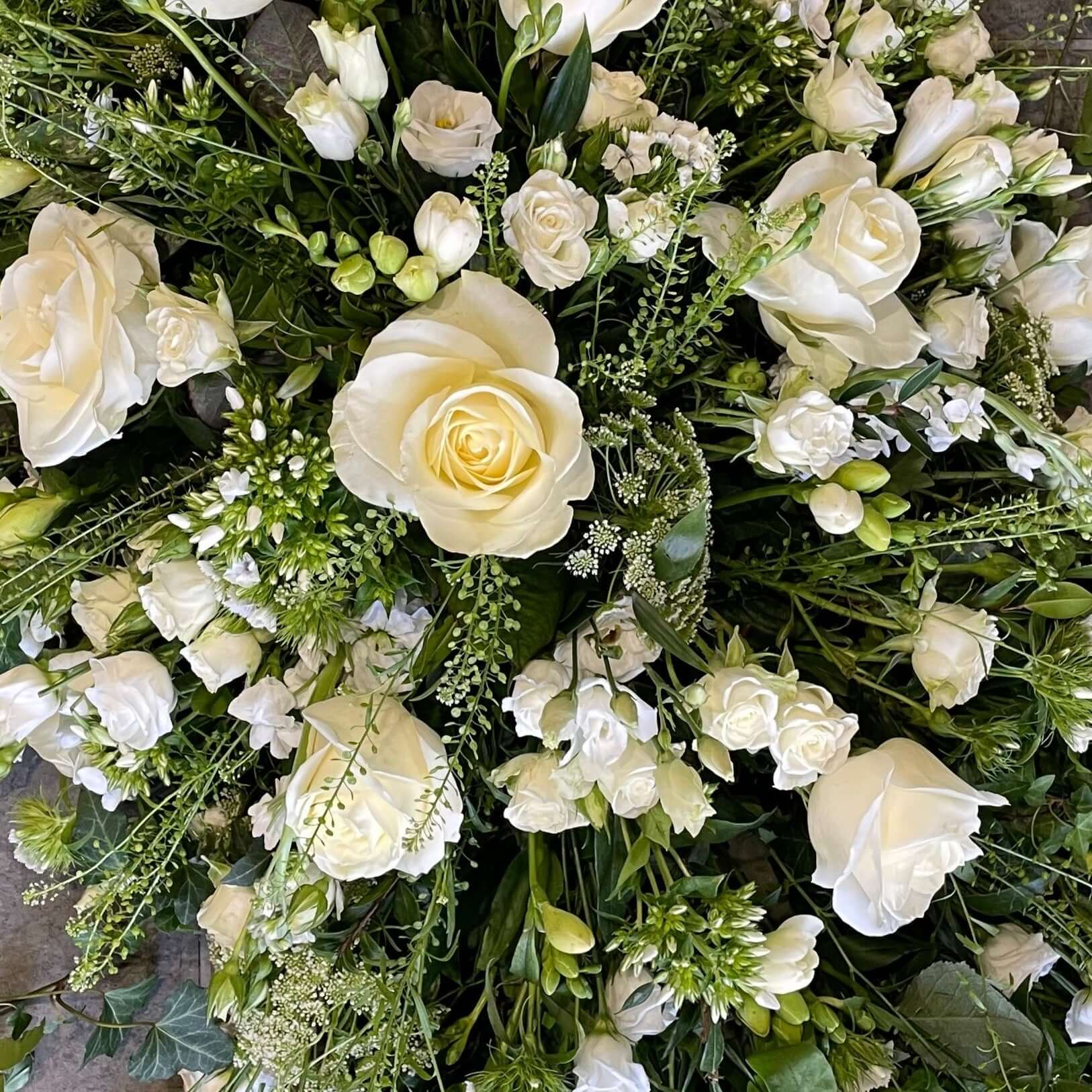 Cascading Coffin Spray