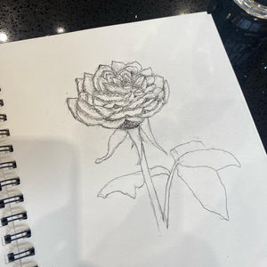 Floral Drawing Group starting  Monday 24th February,5 sessions