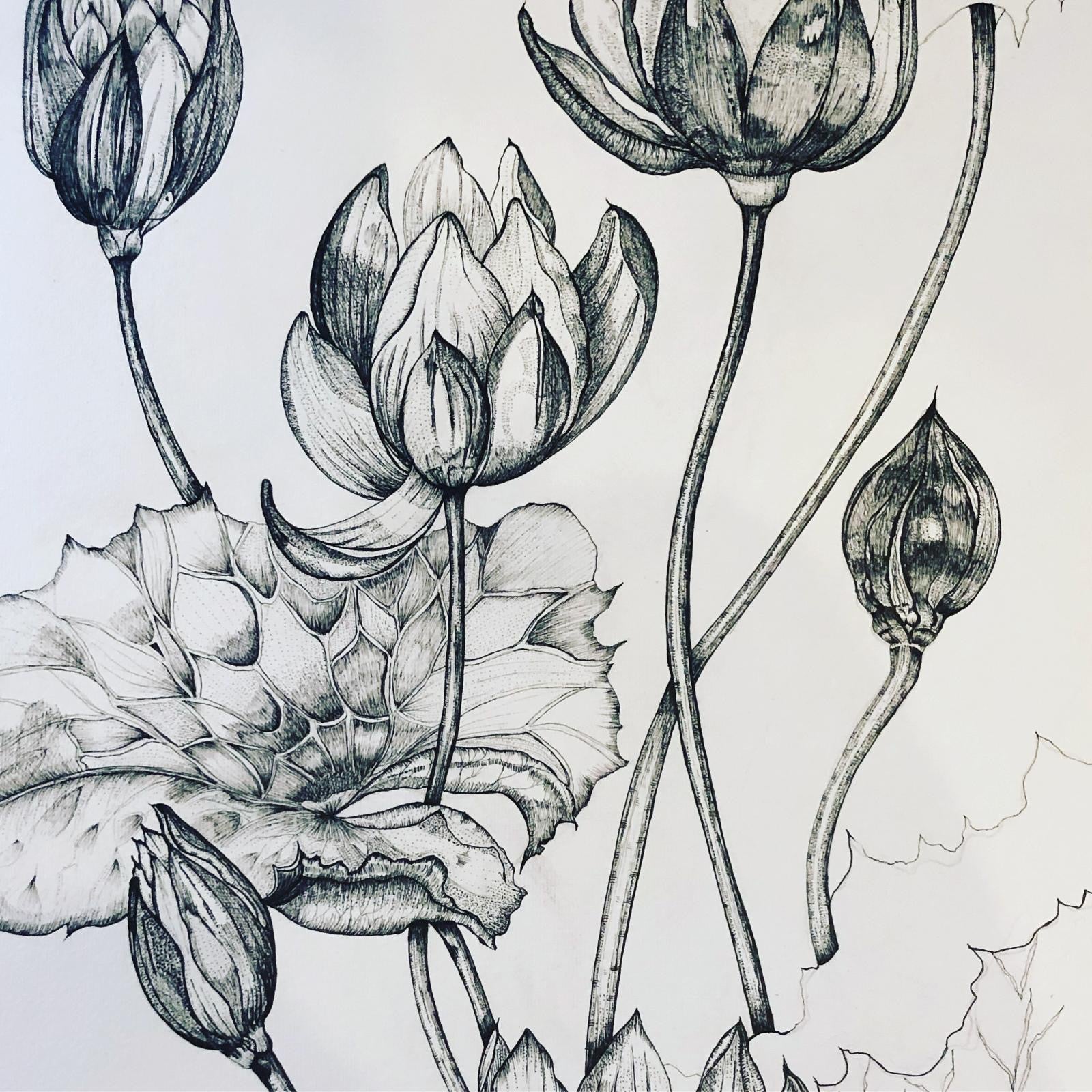 Fineliner Ink Drawing Friday 18th July  10am-1.00pm £50.00