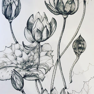 Fineliner Ink Drawing Friday 18th July  10am-1.00pm £50.00