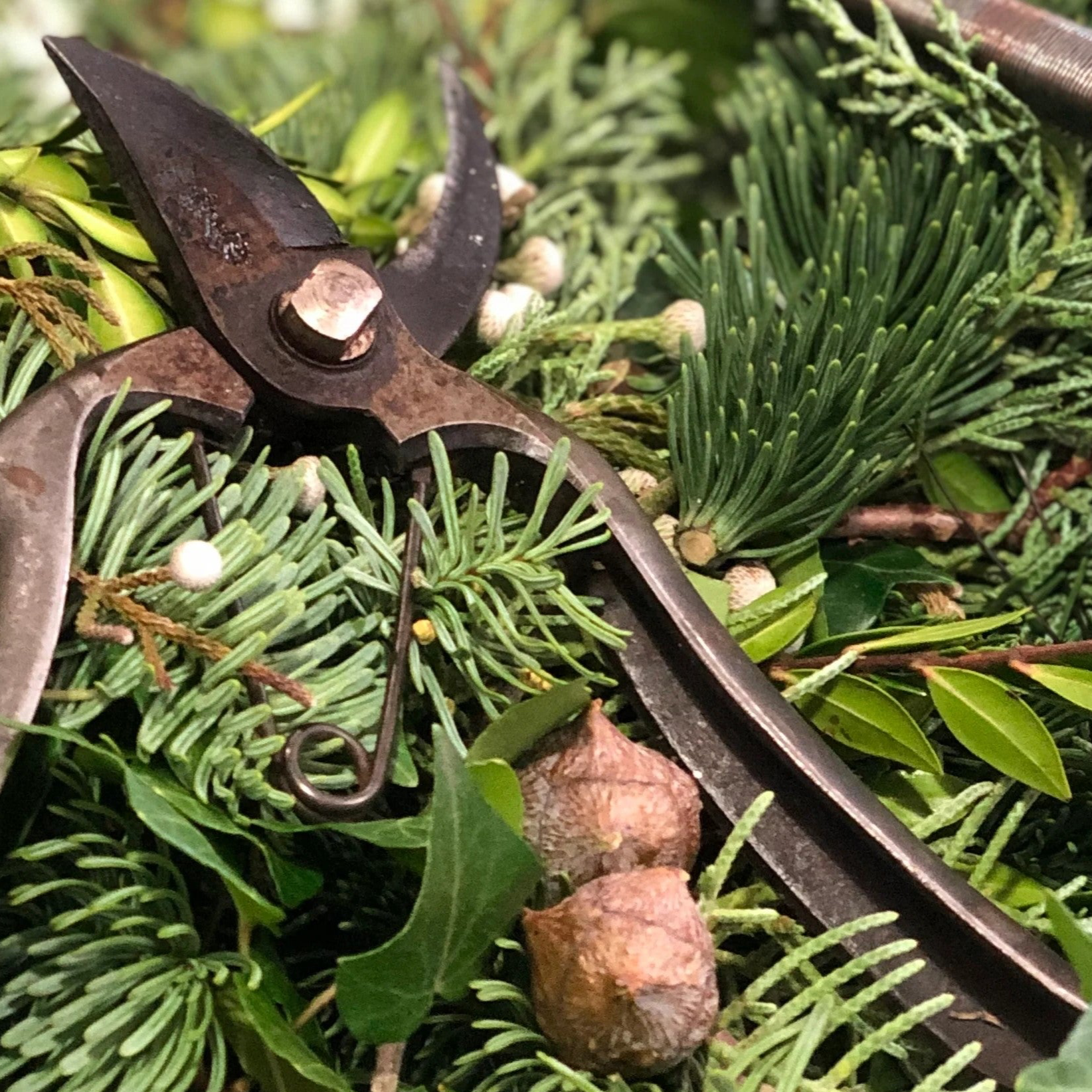 Twig Christmas Door Loop Workshop