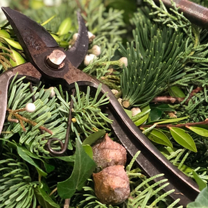 Eucalyptus and Friends…A stylish Christmas Door Garland