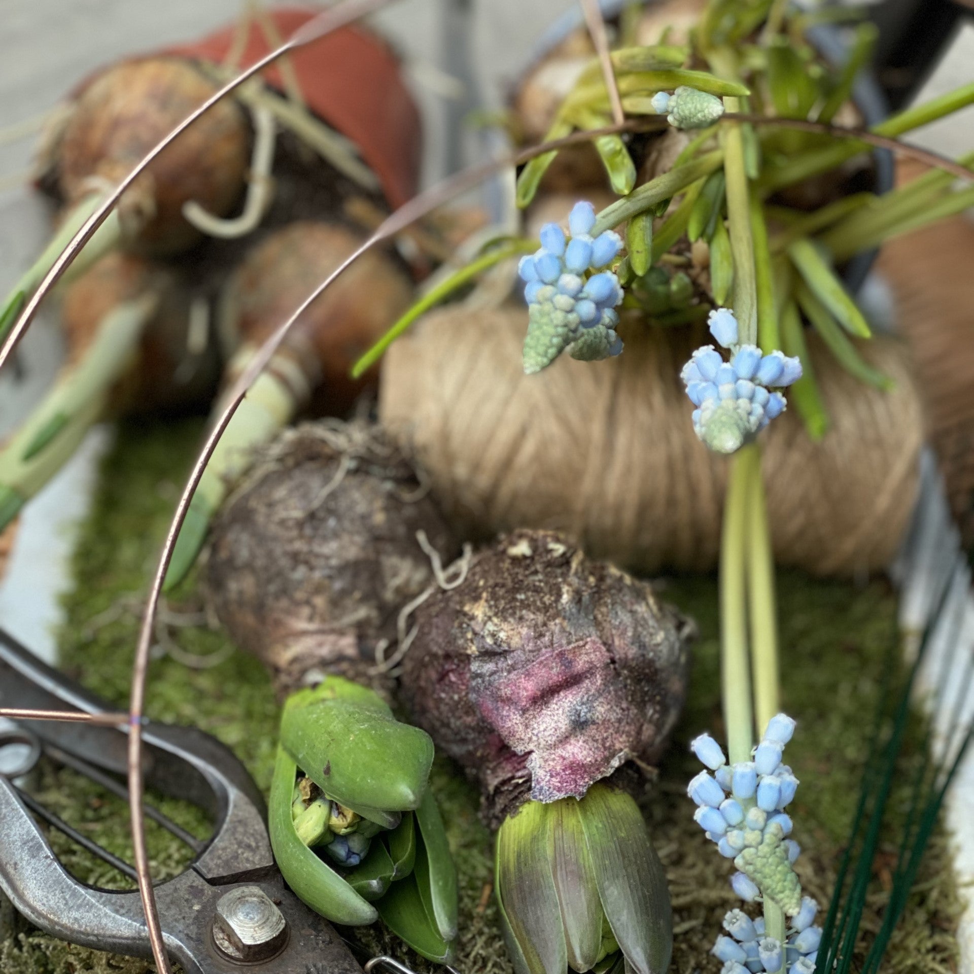 Spring Door Wreath   Saturday 22nd March 2pm-4.30pm