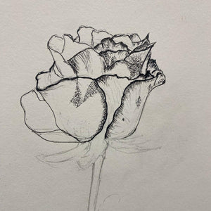 Fineliner Ink Drawing Friday 18th July  10am-1.00pm £50.00
