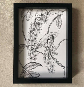 Memories of St Lucia Ink Drawing - Sarah Horne Botanicals