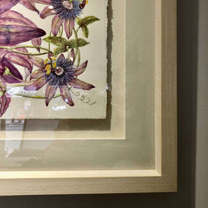 Passiflora Amethyst Lavender Lady Watercolour - Sarah Horne Botanicals