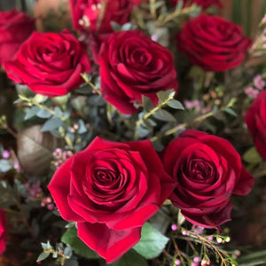 Red roses 