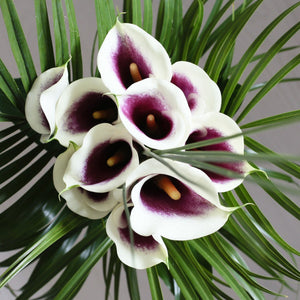 Downloadable Gift Voucher - Sarah Horne Botanicals