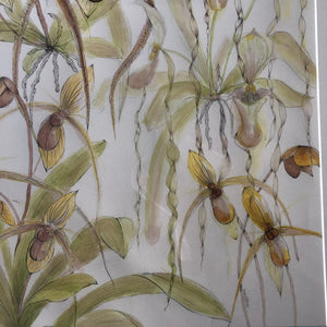 Paphiopedilum Orchid Ink Painting SOLD - Sarah Horne Botanicals