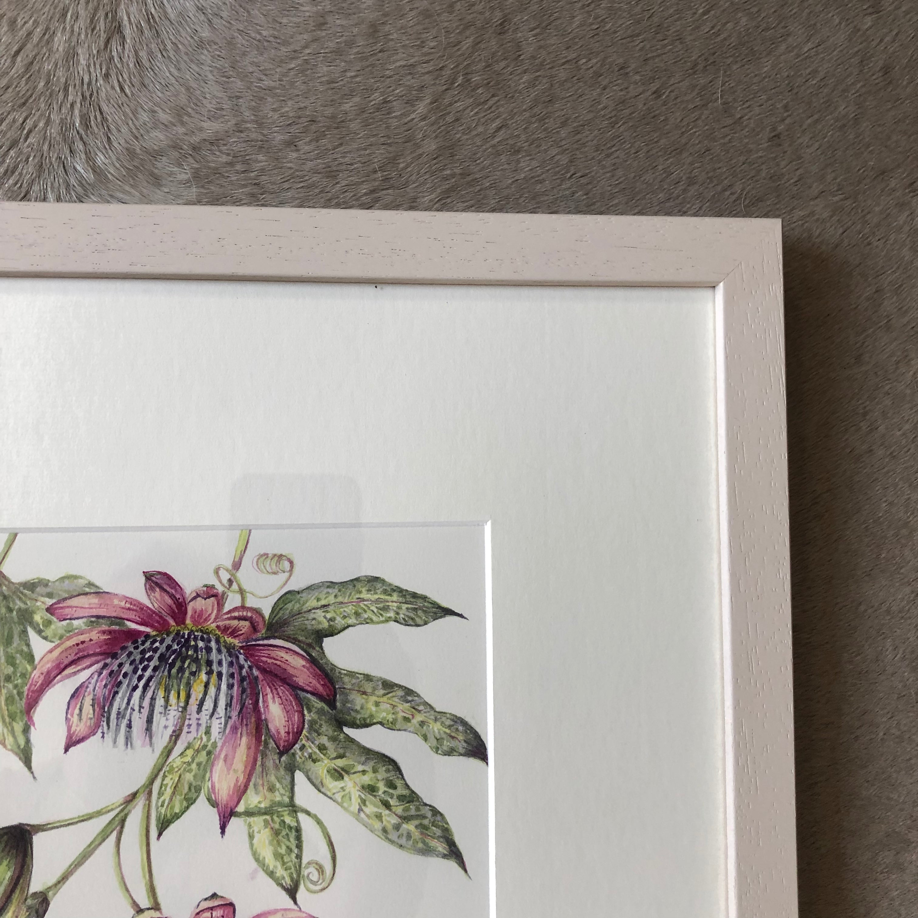 Pink Passiflora Watercolour - Sarah Horne Botanicals