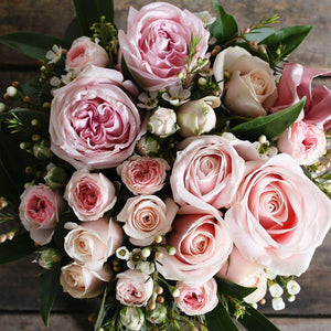 Pastel pink roses and foliage
