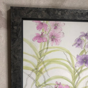 Vanda Orchids Ink Painting - Sarah Horne Botanicals