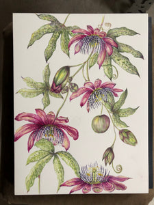 Pink Passiflora Watercolour