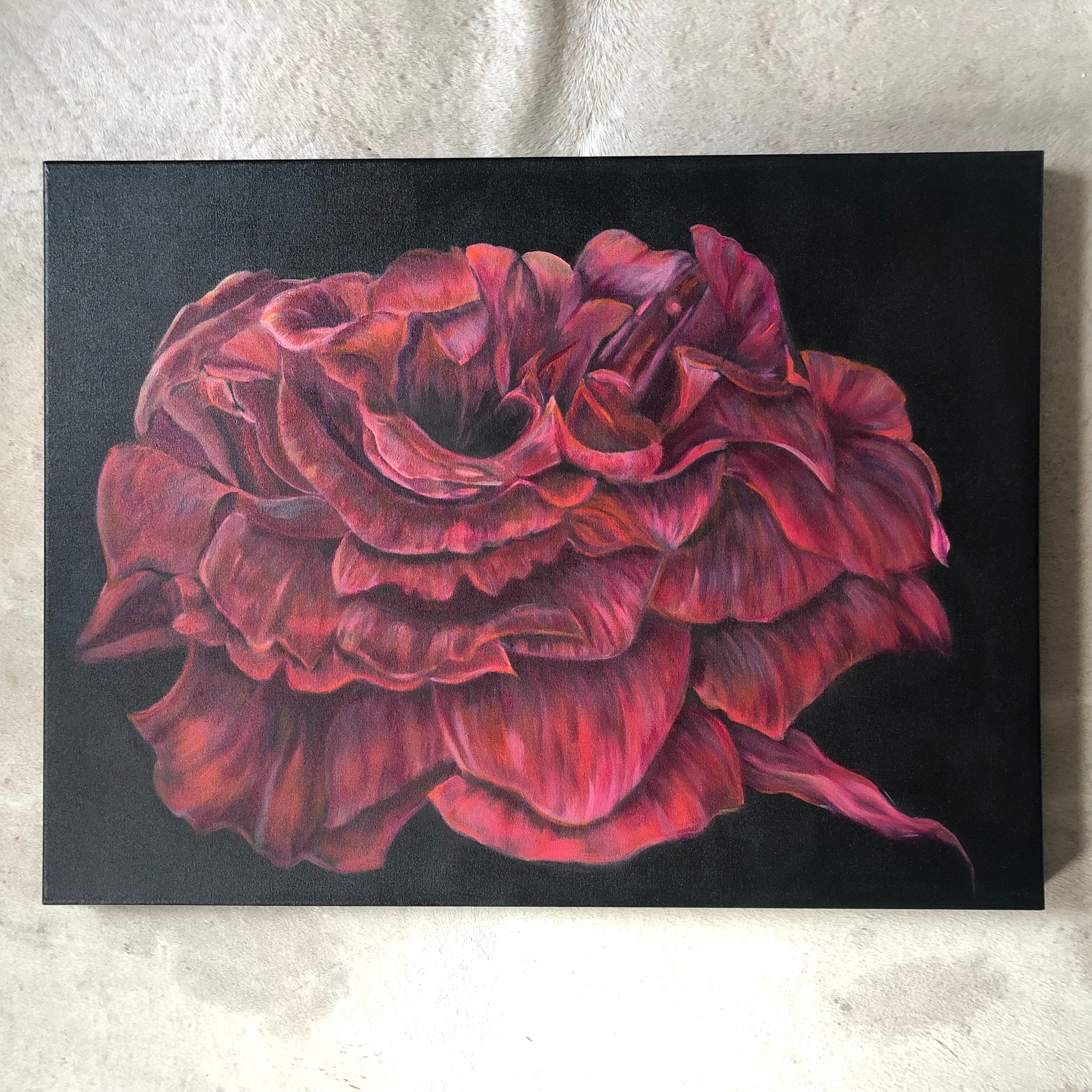 Velvet Red Rose on Canvas - Sarah Horne Botanicals