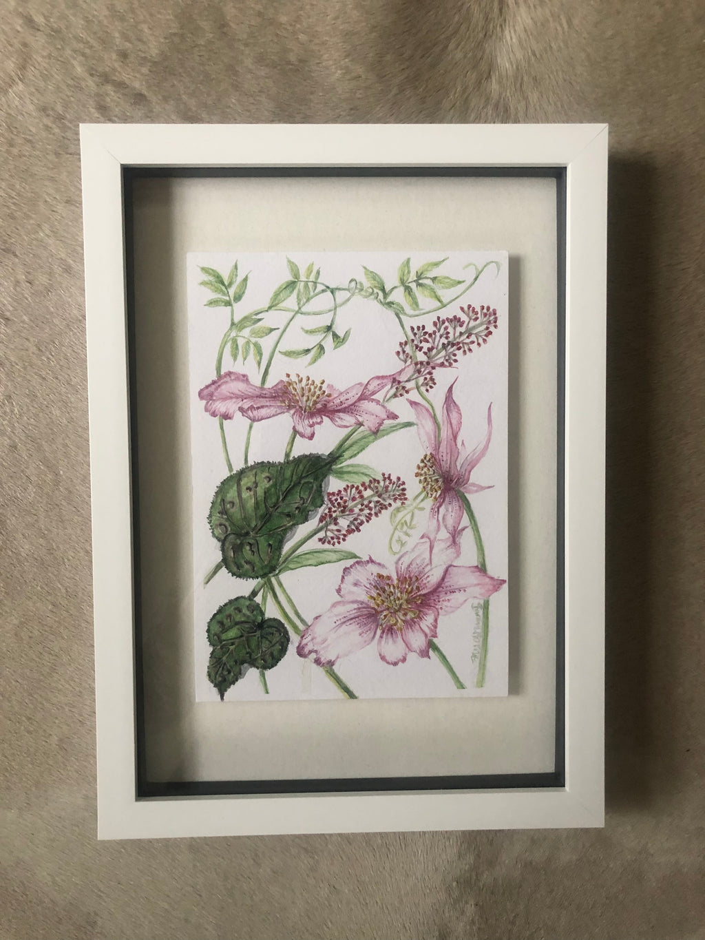 Pink Helleborus Watercolour SOLD - Sarah Horne Botanicals