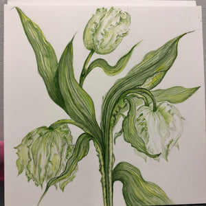 White Parrot Tulips Watercolour   SOLD