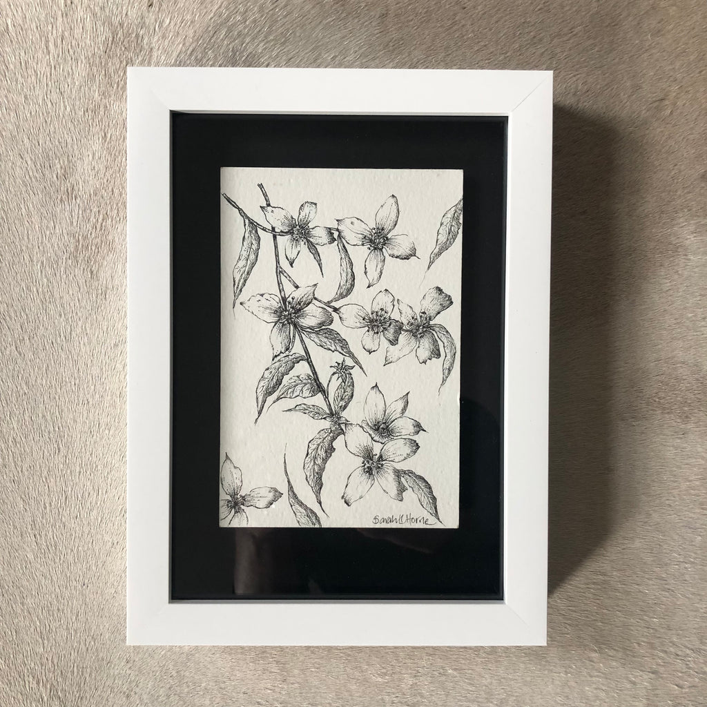 Tiny Blossom Ink Drawing - Sarah Horne Botanicals