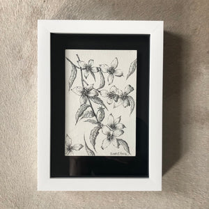Tiny Blossom Ink Drawing