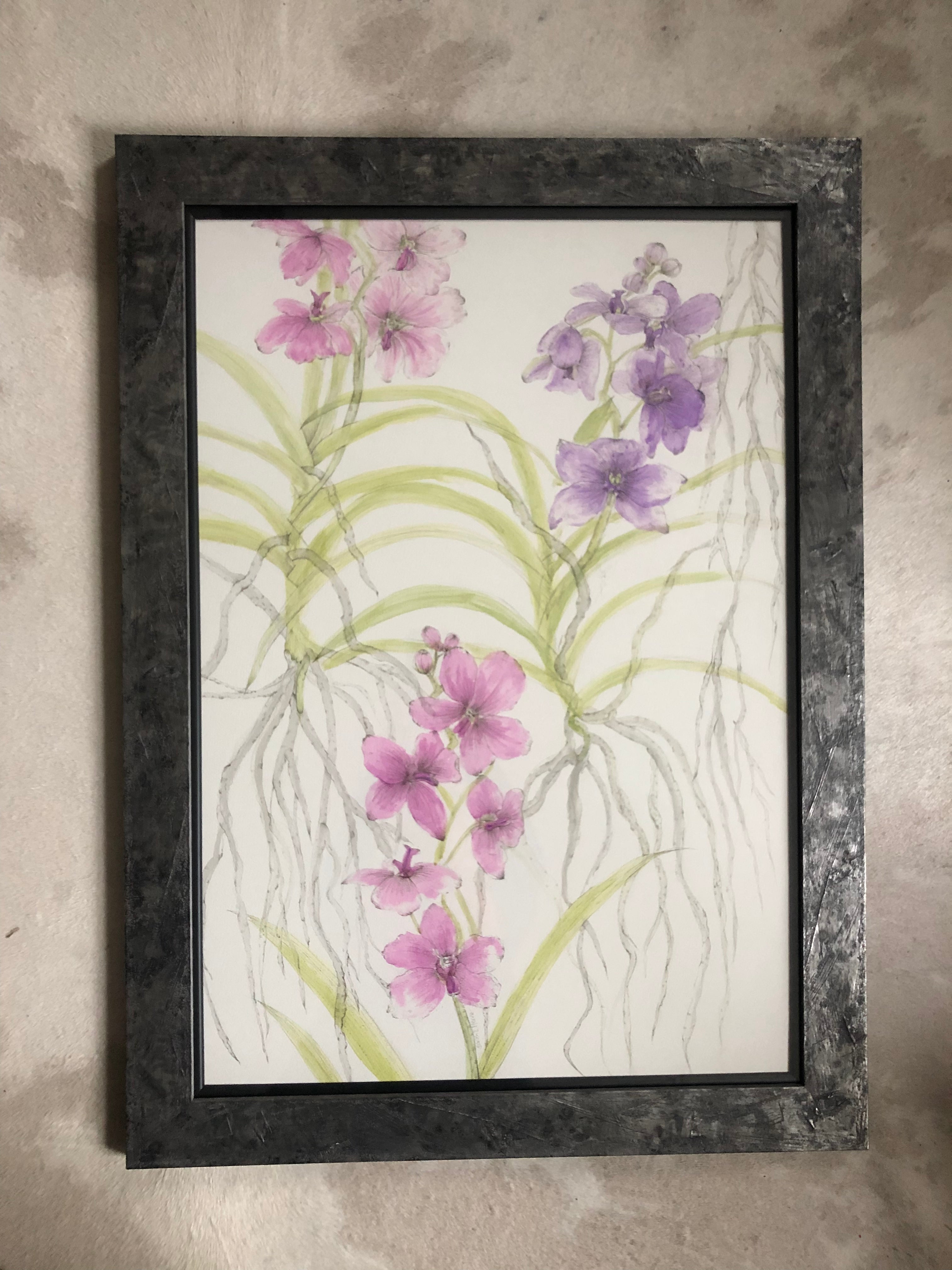 Vanda Orchids Ink Painting - Sarah Horne Botanicals