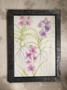Vanda Orchids Ink Painting