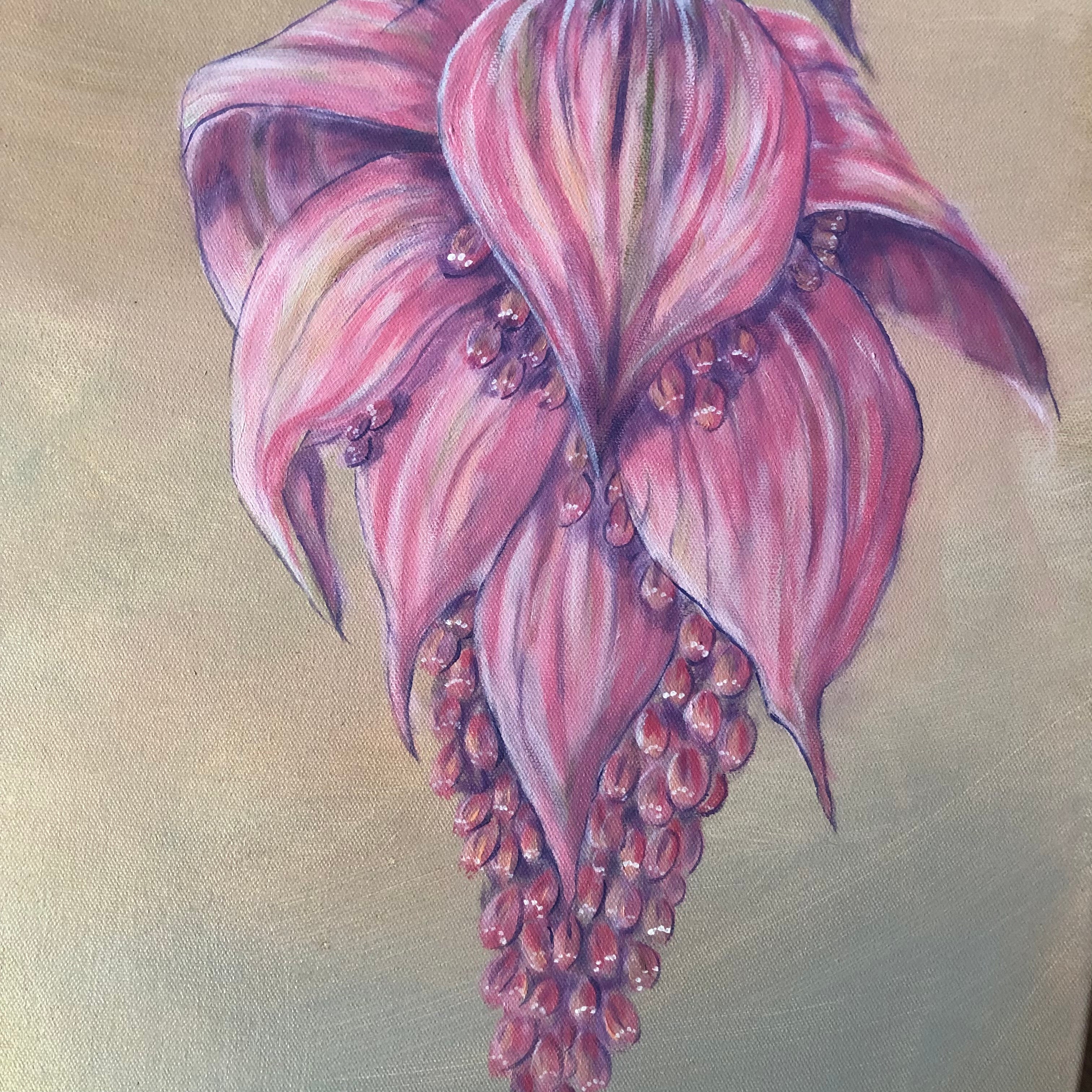 Giant Medinilla Magnifica Acrylic Painting - Sarah Horne Botanicals