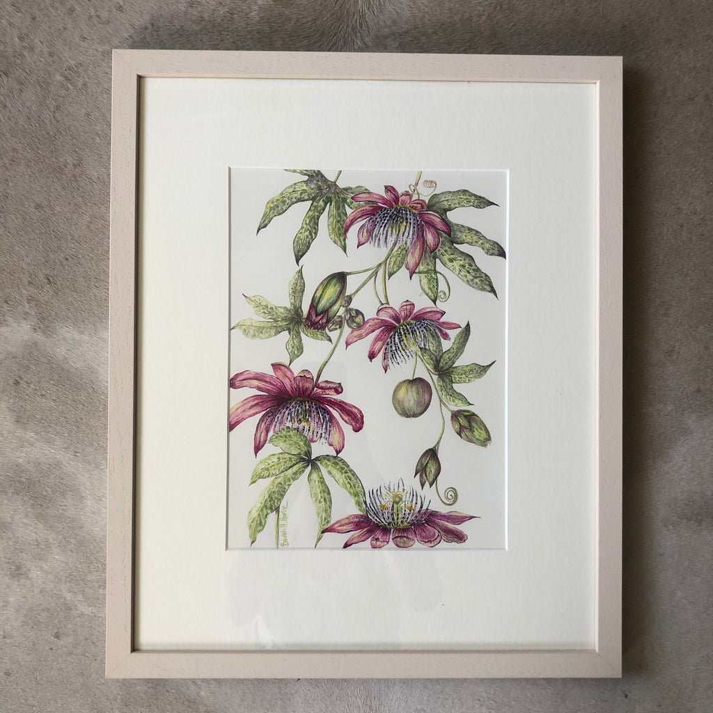 Pink Passiflora Watercolour - Sarah Horne Botanicals