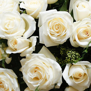 White rose heads and foliage