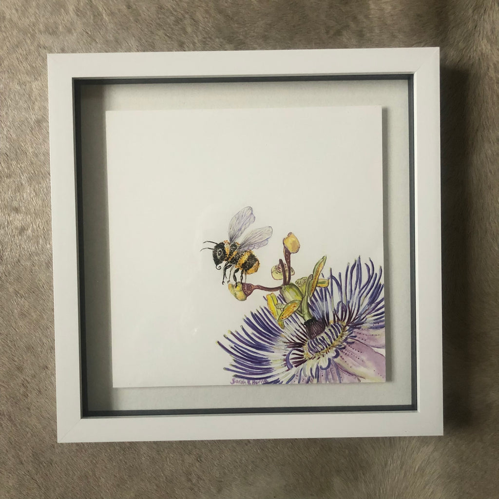 Passifloral Dalliance Watercolour SOLD - Sarah Horne Botanicals