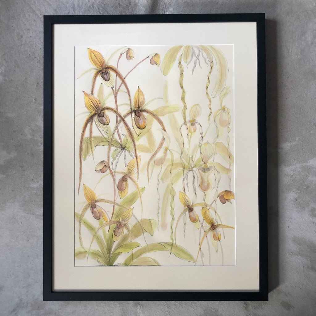 Paphiopedilum Orchid Ink Painting SOLD - Sarah Horne Botanicals
