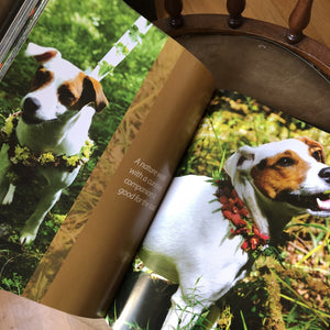 book image showing Bandit (Sarah's dog) with a floral collar