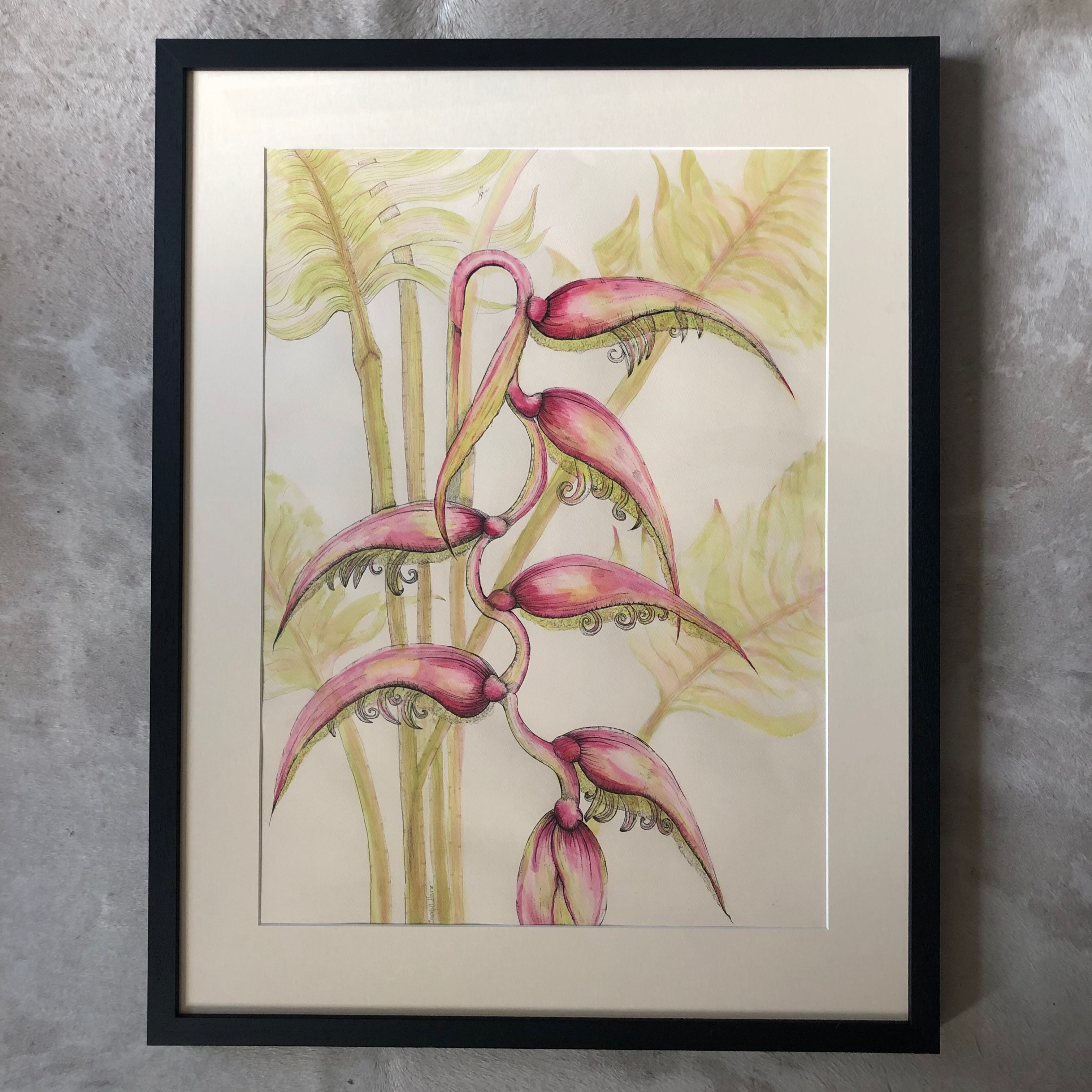 Sexy Pink Hanging Heliconia Ink Painting - Sarah Horne Botanicals