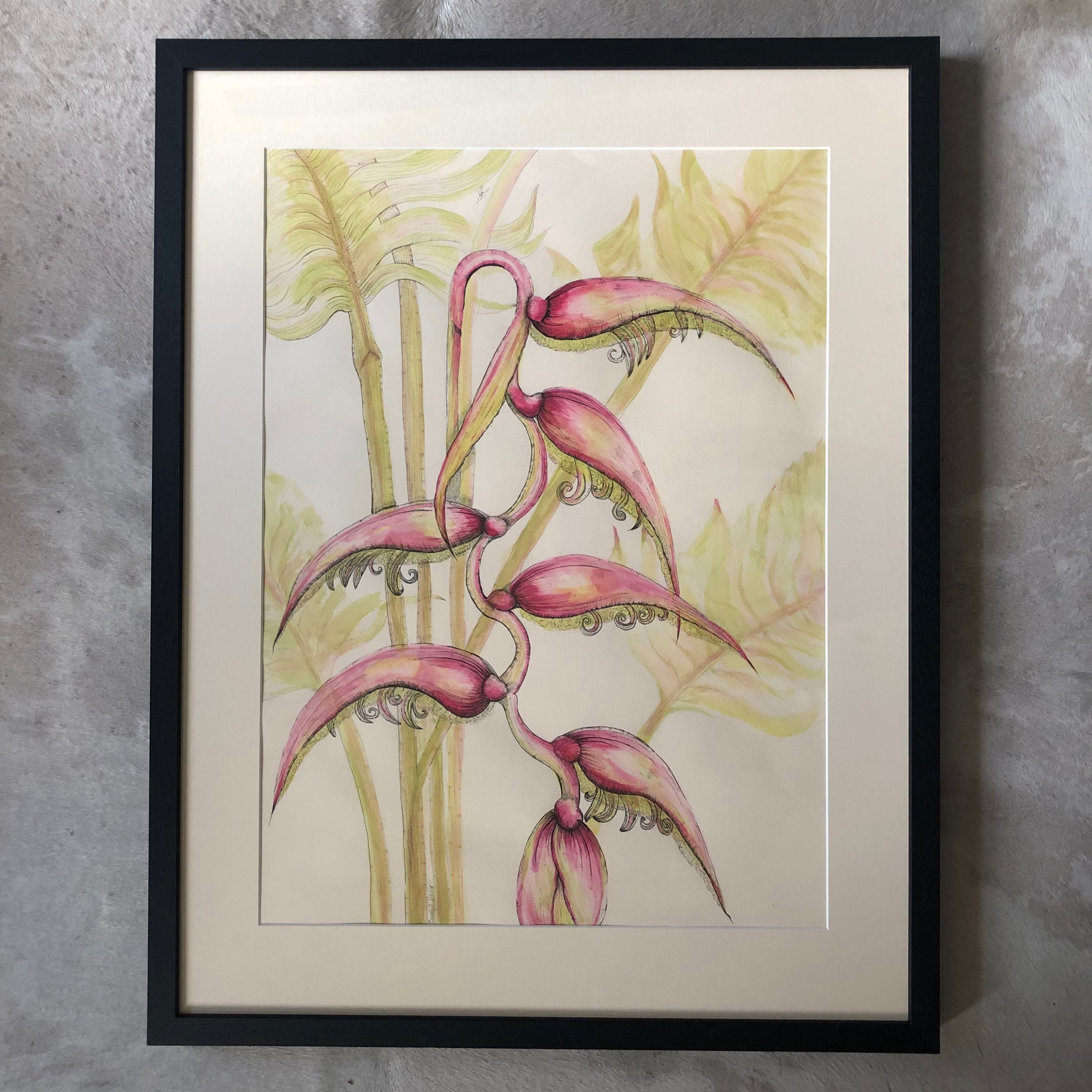 Sexy Pink Hanging Heliconia Ink Painting