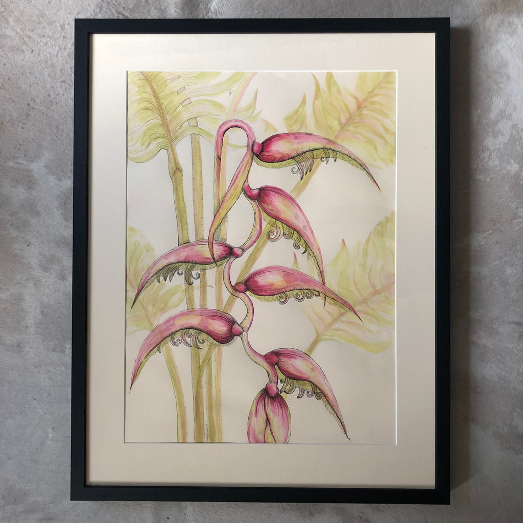 Sexy Pink Hanging Heliconia Ink Painting - Sarah Horne Botanicals