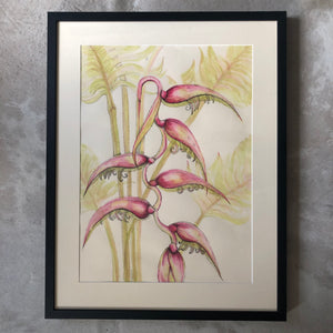 Sexy Pink Hanging Heliconia Ink Painting - Sarah Horne Botanicals