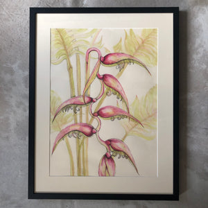 Sexy Pink Hanging Heliconia Ink Painting