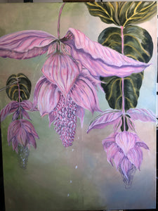Giant Medinilla Magnifica Acrylic Painting - Sarah Horne Botanicals