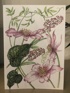 Pink Helleborus Watercolour SOLD - Sarah Horne Botanicals