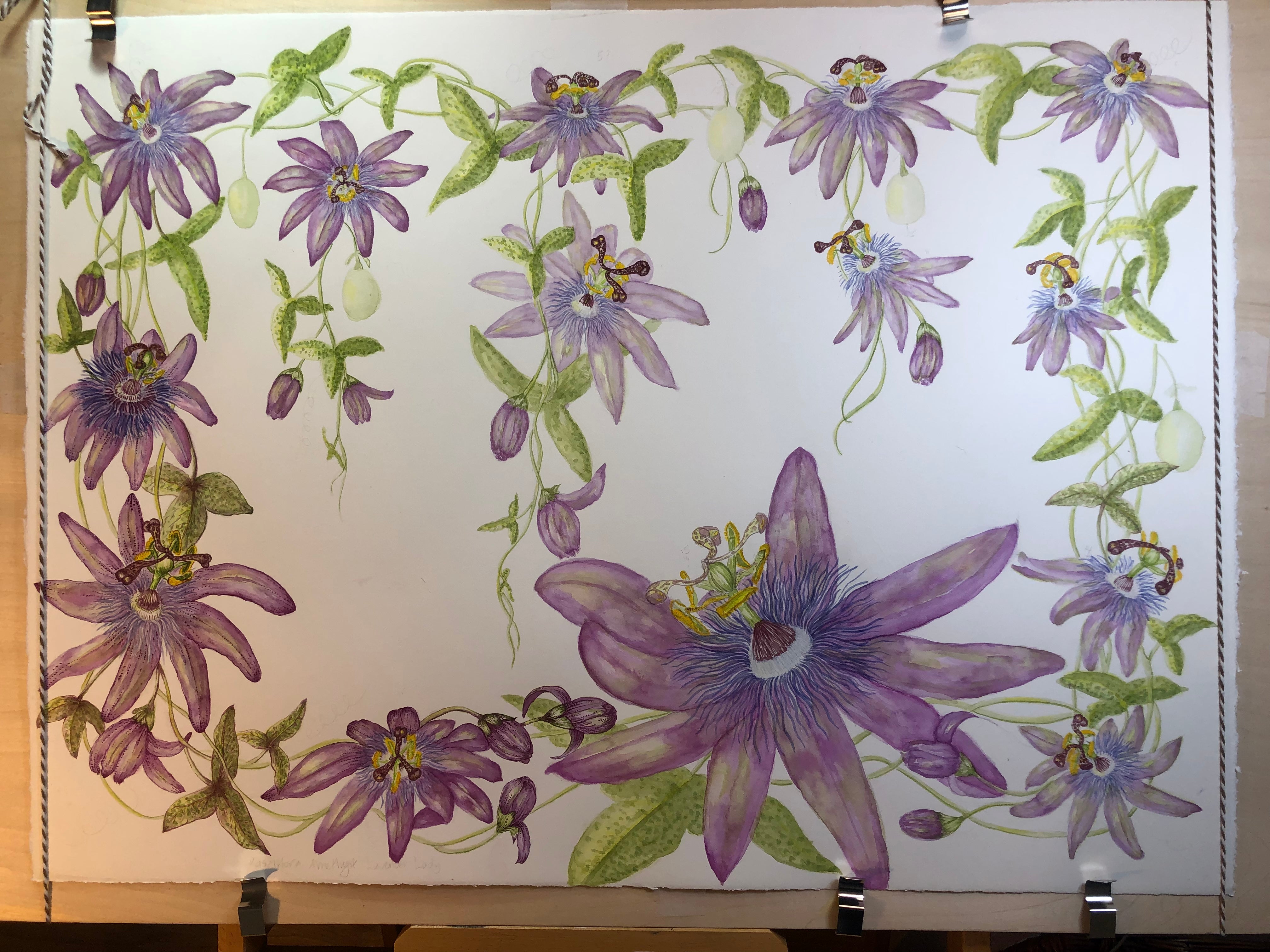 Passiflora Amethyst Lavender Lady Watercolour - Sarah Horne Botanicals