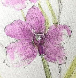 Vanda Orchids Ink Painting