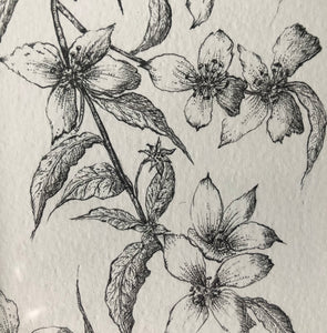 Tiny Blossom Ink Drawing