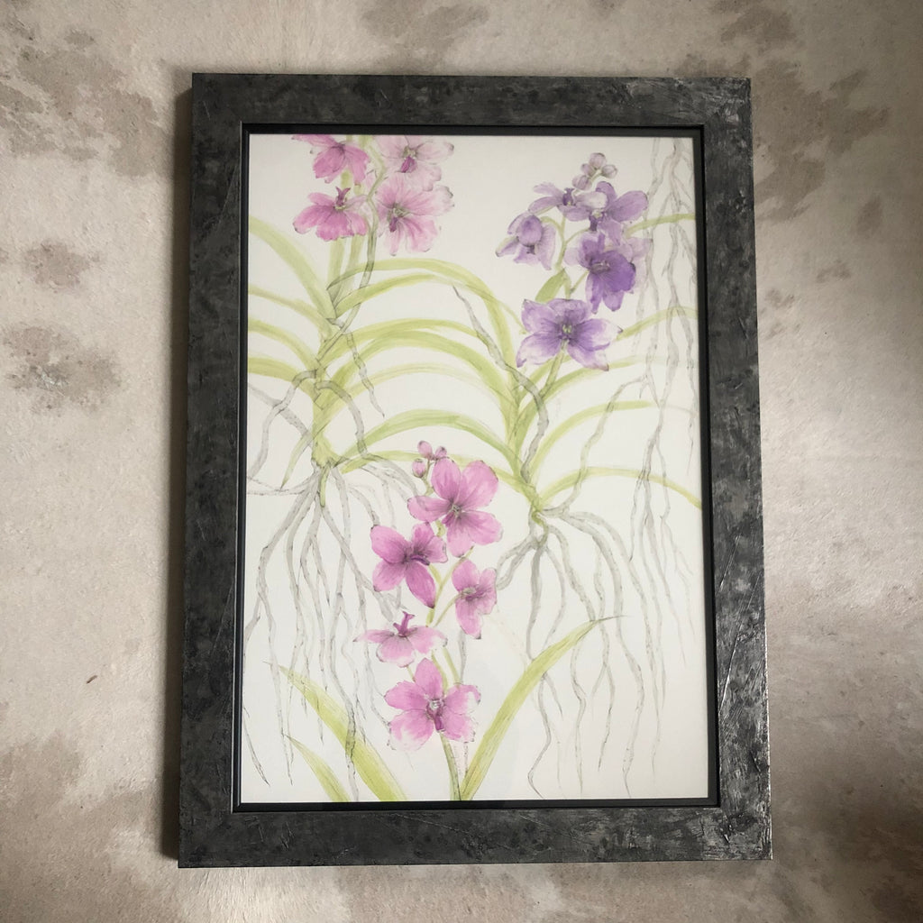 Vanda Orchids Ink Painting - Sarah Horne Botanicals