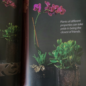 page from the book showing orchids and a plant