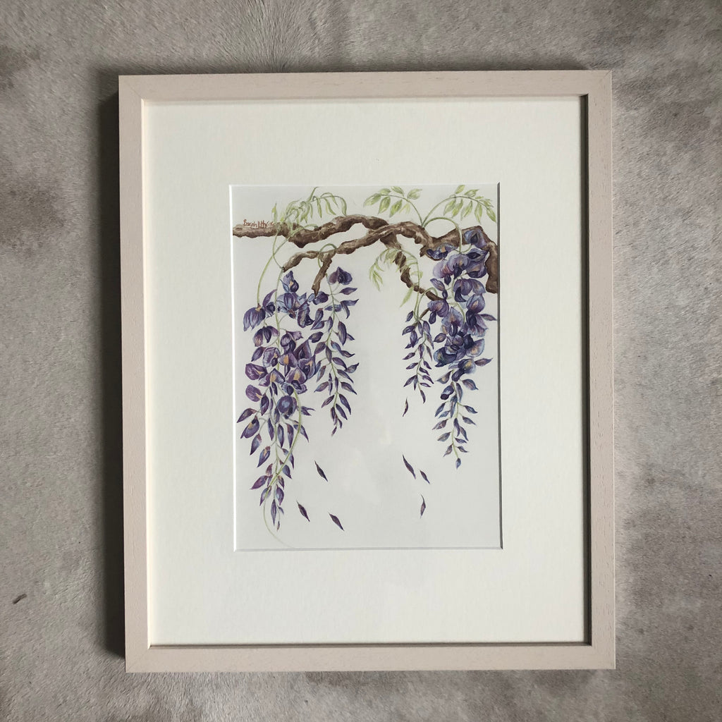 Wisteria Study Watercolour - Sarah Horne Botanicals