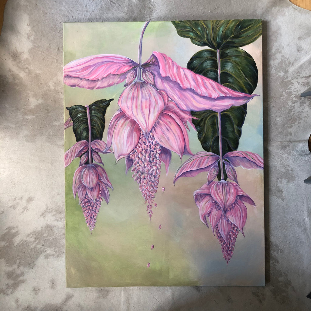 Giant Medinilla Magnifica Acrylic Painting - Sarah Horne Botanicals