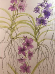 Vanda Orchids Ink Painting