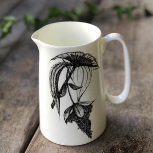fine bone china one pint jug with medinilla illustration