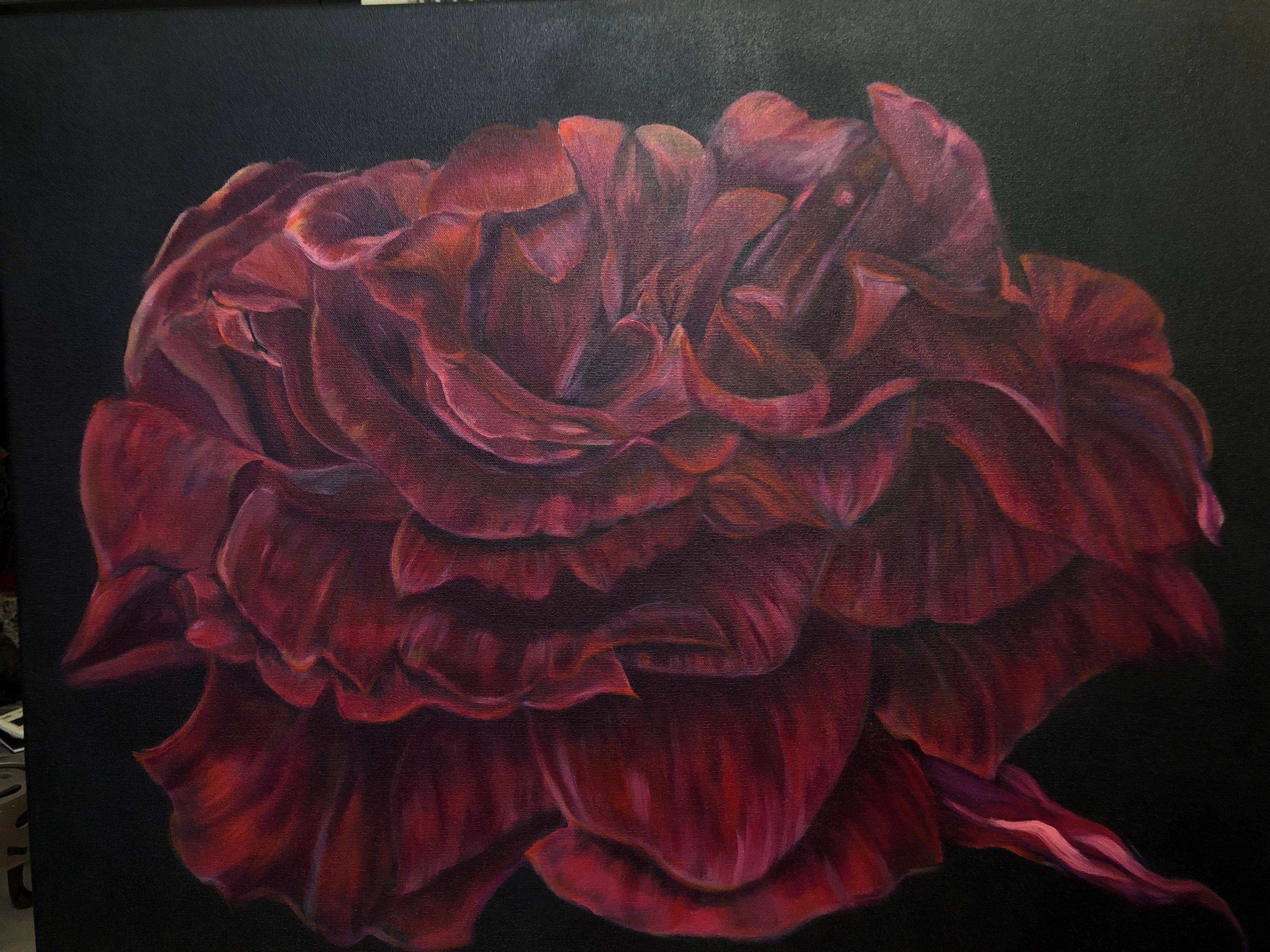 Velvet Red Rose on Canvas - Sarah Horne Botanicals