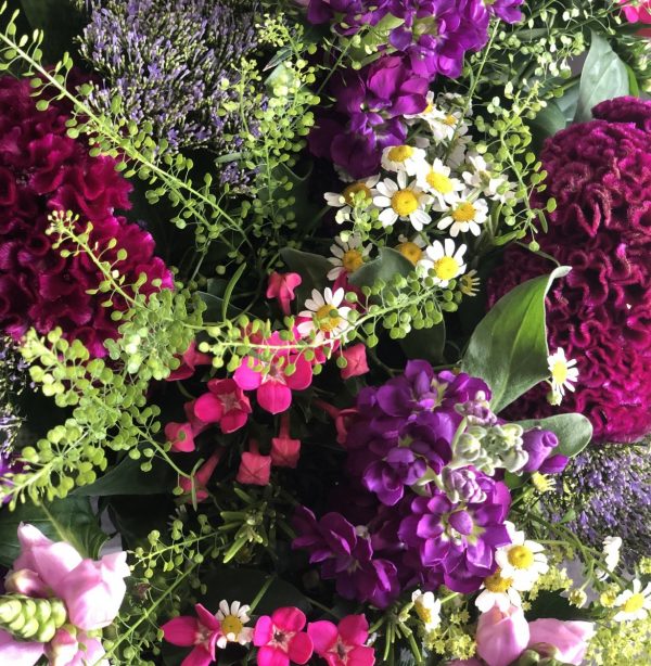 A mix of purple seasonal flowers. 